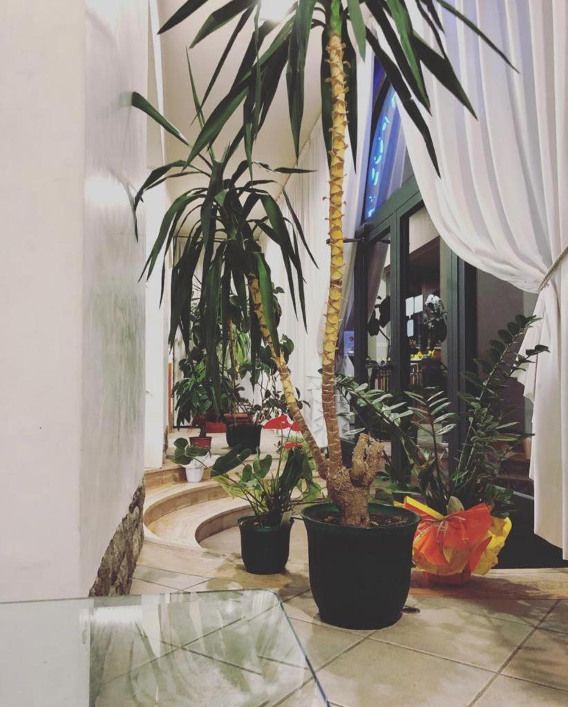 Albergo La Posta Arezzo Badia Al Pino Exterior foto